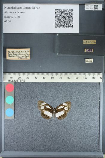 Media type: image; Entomology 161718